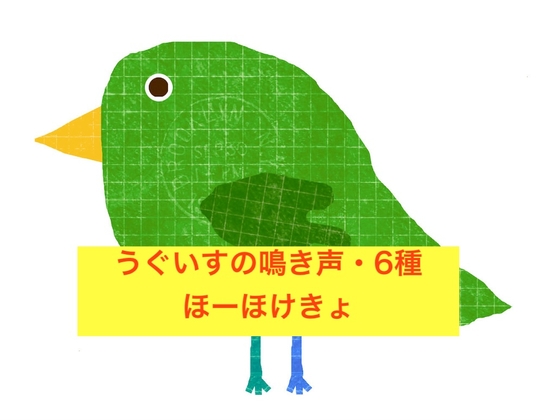 生録音・うぐいすの鳴き声6種