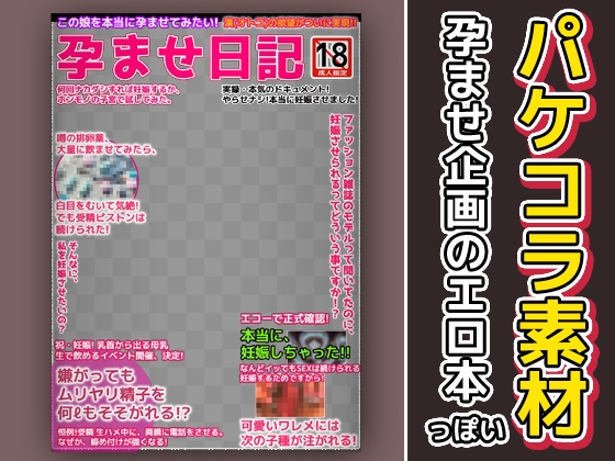 エロ本風パケコラ素材～「孕ませ日記」