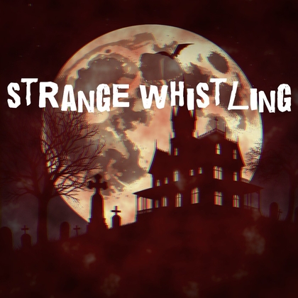 strange whistling_OggM4a