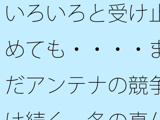 いろいろと受け止めても・・・・まだアンテナの競争は続く 冬の真ん中の朝・・・・・