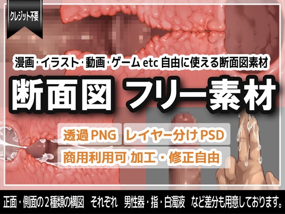 断面図 フリー素材 PNG・PSD