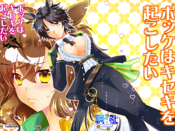 ポッケはキセキを起こしたい