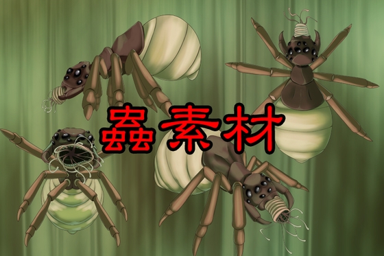 触手素材5_蜘蛛のような昆虫