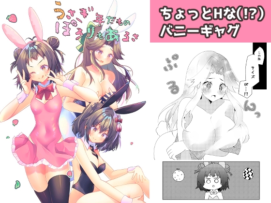 うさぎ年だものぽろりもあるさ