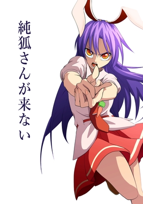 純狐さんが来ない