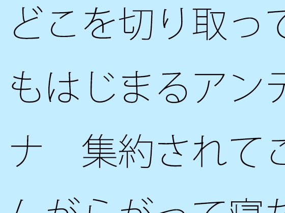 どこを切り取ってもはじまるアンテナ 集約されてこんがらがって寝た昨夜から朝