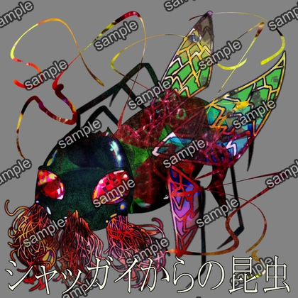 シャッガイからの昆虫