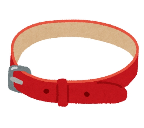 足奴○ペット飼育マニュアル【靴下種編】