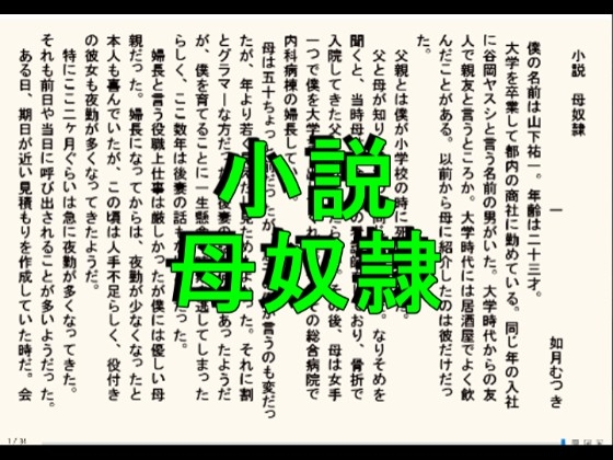 小説 母奴○