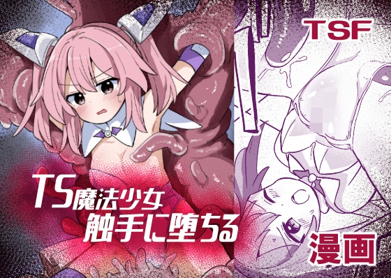 TS魔法少女、触手に堕ちる