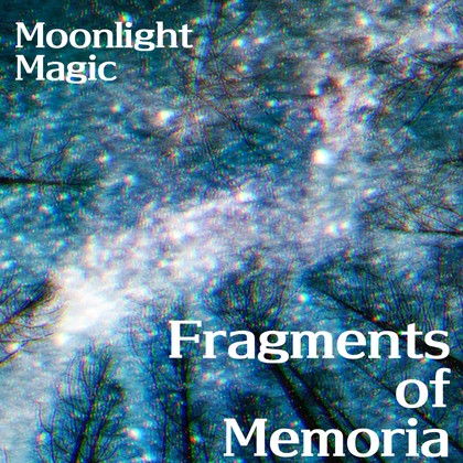 Fragments of Memoria