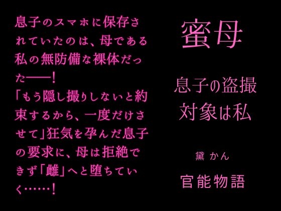 蜜母 ～息子の盗撮対象は私～