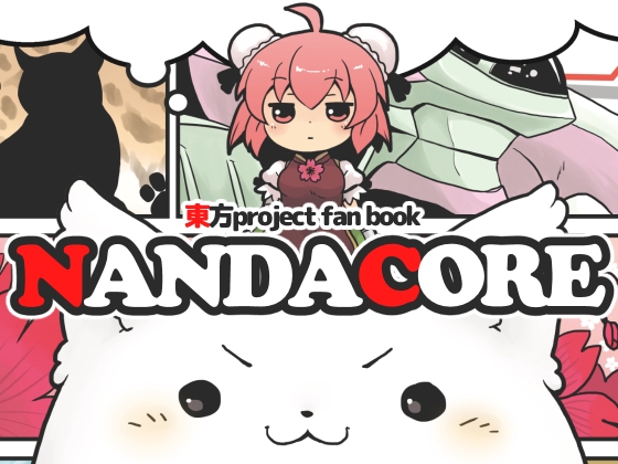 NANDACORE
