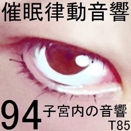 催眠律動音響94_子宮内の音響T85