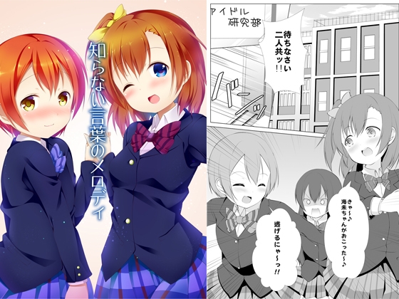 知らない言葉のメロディ