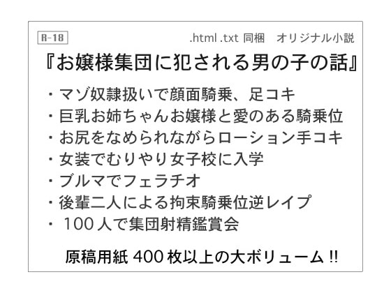 DLsite専売お嬢様集団に犯される男の子の話