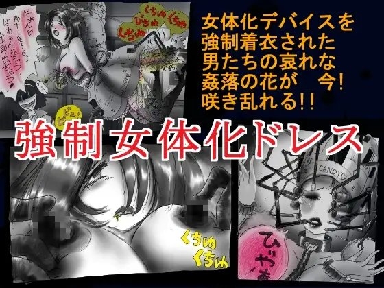 強制女体化ドレス