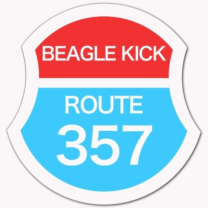 ROUTE357