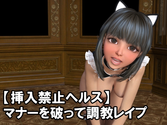 挿入禁止ヘルス