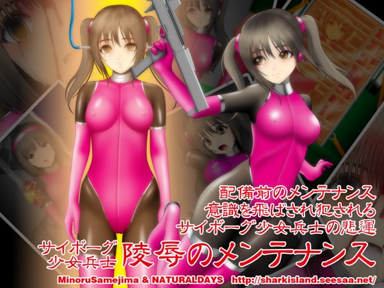 陵辱のメンテナンス