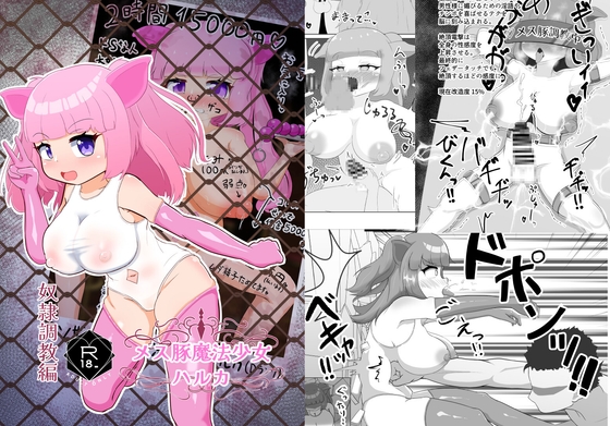 メス豚魔法少女ハルカ ~奴○調教編~