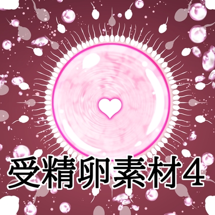 受精卵素材4