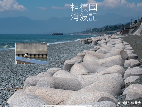 相模国消波記