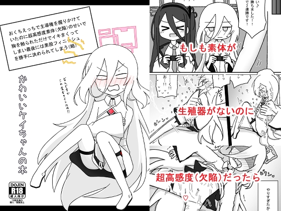 かわいいケイちゃんの本