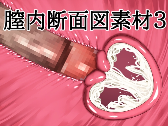 「膣内断面図素材3」(水の木)