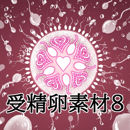 受精卵素材8
