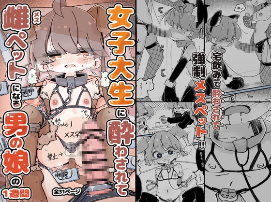 「女子大生に酔わされて雌ペットになる男の娘の一週間」(僕僕の妄想)