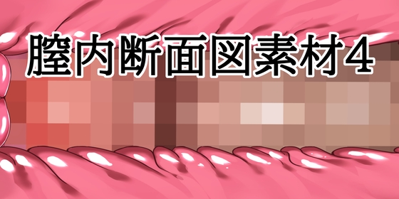 膣内断面図素材4