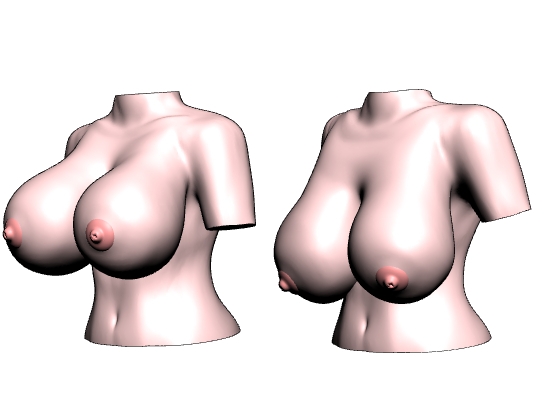 デジタルデッサン人形 upper body