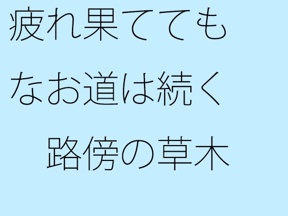 疲れ果ててもなお道は続く 路傍の草木