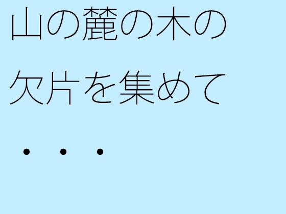 山の麓の木の欠片を集めて・・・