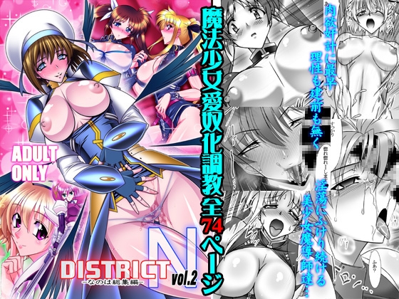 DISTRICT N vol.2