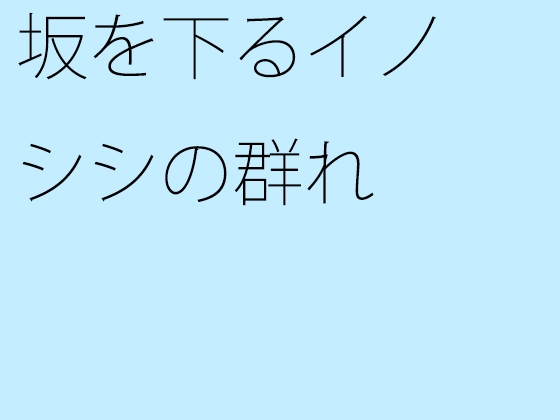 坂を下るイノシシの群れ