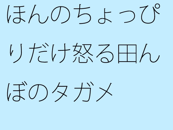 ほんのちょっぴりだけ怒る田んぼのタガメ