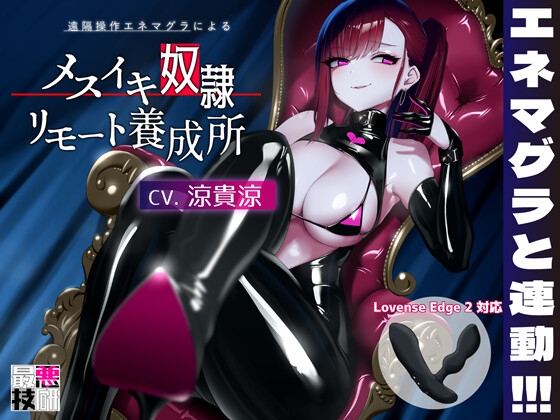 【Lovenseエネマグラ連動】メスイキ奴隷リモート養成所