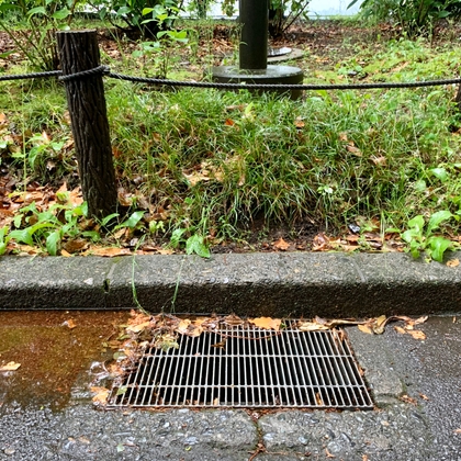 雨傘と雨水溝