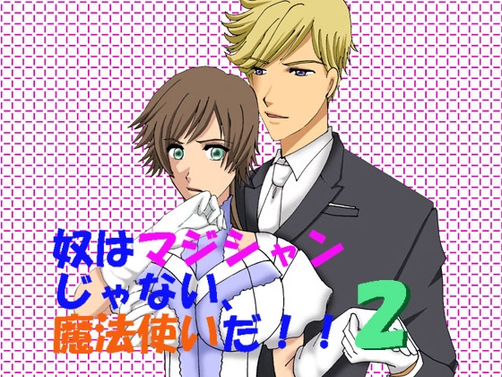 奴はマジシャンじゃない、魔法使いだ!!2