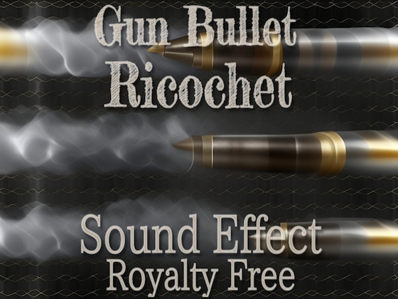 銃 弾丸の跳弾 効果音 03 低音