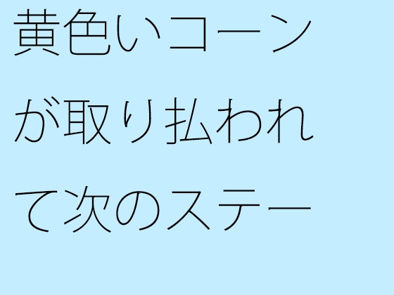 黄色いコーンが取り払われて次のステージへ